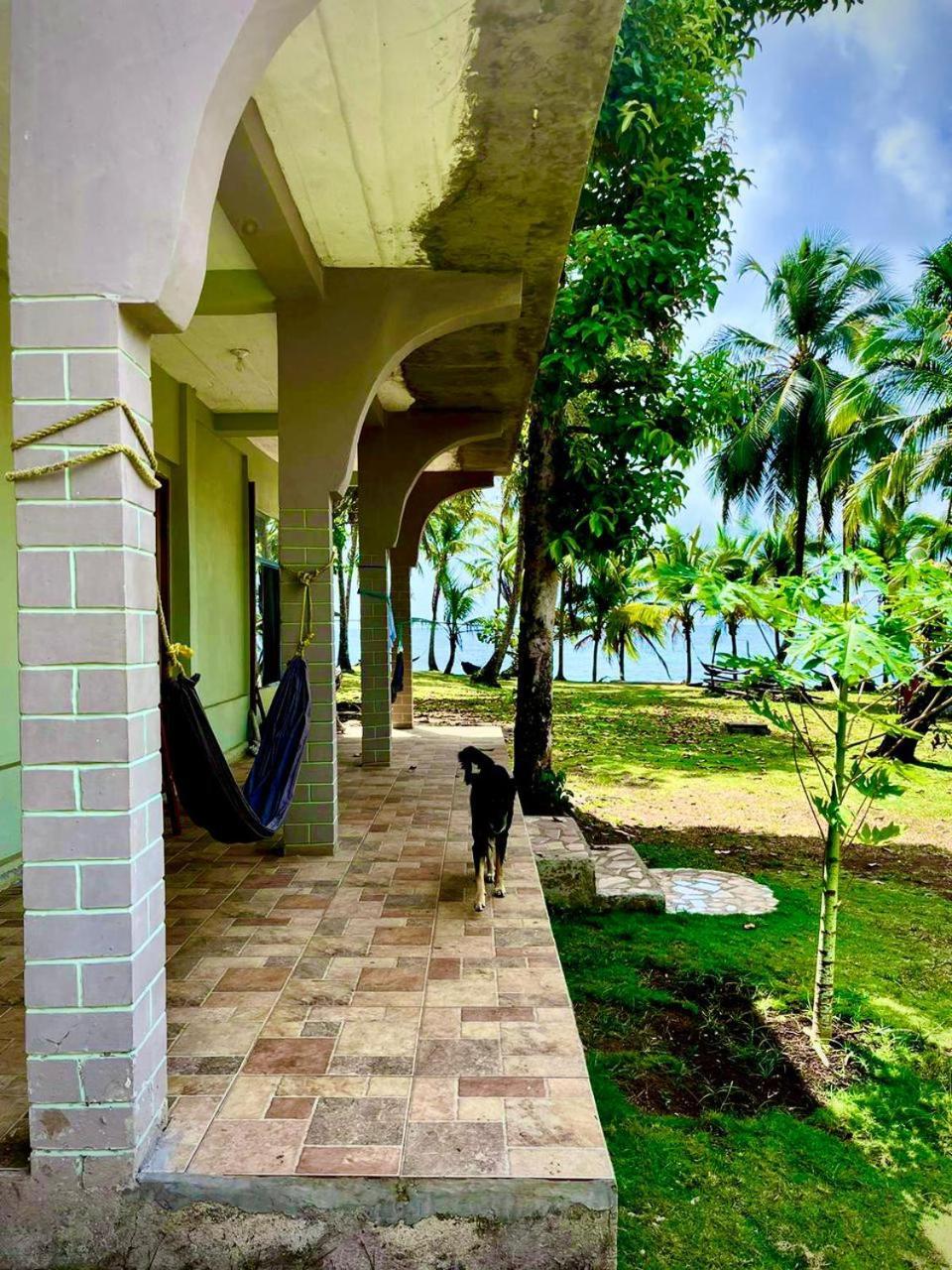 Guesthouse Island Escape South End Exteriér fotografie
